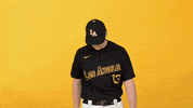 Cal State La Sport GIF by Cal State LA Golden Eagles