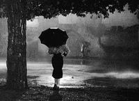 black and white umbrella GIF