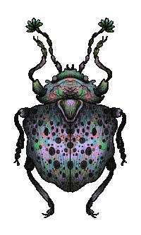 Color Bug Sticker by anja sturm