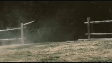 The Scientist GIF by Coldplay