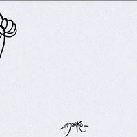 cat GIF by marko