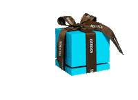 Blue Box Sticker by Maison Birks