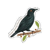 Arncyn Sticker