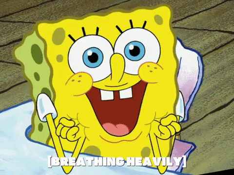 season 6 boating buddies GIF by SpongeBob SquarePants