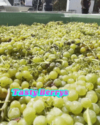 Tasty Berrys GIF by Odell Brewing Company