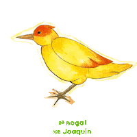 Bird Butterfly Sticker by PlanetadeLibros Argentina