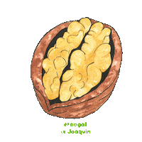 Bird Butterfly Sticker by PlanetadeLibros Argentina