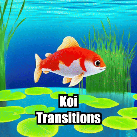 Koi Fish Video GIF by TheConfishius
