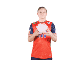 Handball Nhf Sticker by Norges Håndballforbund
