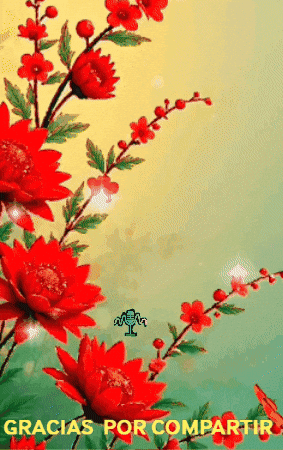 Gracias Amigos GIF by Murcianys LLC