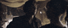 Solo A Star Wars Story GIF by Star Wars