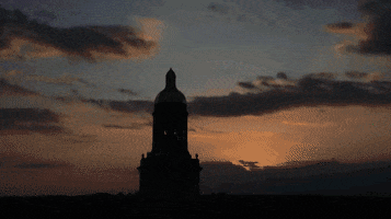 College Bears GIF by Baylor University