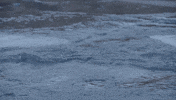 Special Forces Omg GIF by Reality Club FOX