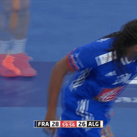 Ffhandball GIF by Fédération Française de Handball