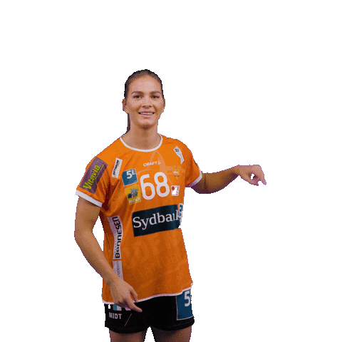 OdenseHaandbold giphyupload orange handball handbold Sticker