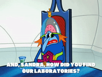 season 5 GIF by SpongeBob SquarePants