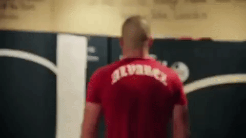 ufc 205 GIF