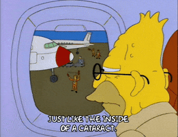 the simpsons GIF