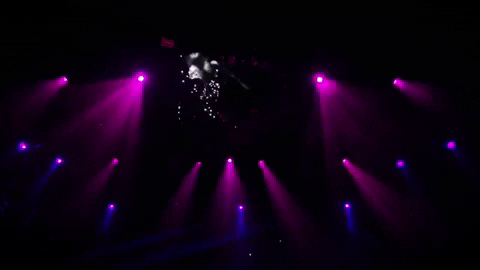 Cats Magic GIF by Musical Vienna