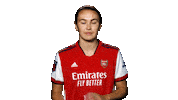 Arsenal Women Football Sticker by Arsenal
