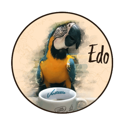 coffee slovakiacoffee Sticker by Verticcio
