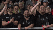 Excited World Rugby GIF by Rugby World Cup
