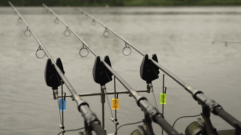 ForgottenFlavours giphyupload monkey climber geert ooms GIF