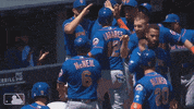 ny mets celebration GIF by New York Mets
