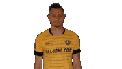 Bundesliga Celebrate Sticker by SG Dynamo Dresden