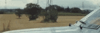 big cat GIF by Domino Recording Co.