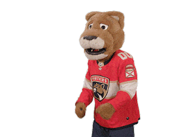 Happy Ice Hockey Sticker by NHL