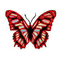 summer flying Sticker