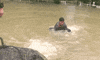 GIF by Mashable