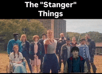 Will Stranger Things GIF