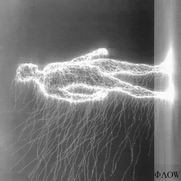 Energy Growing GIF by George Longovitis