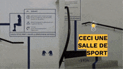 GIF by CYD