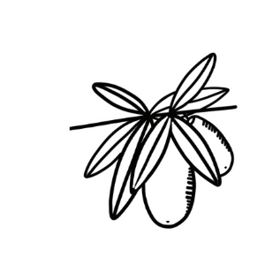 Summer Plants Sticker by Reckespecialitky