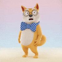 Shiba Inu What GIF by Doge Pound