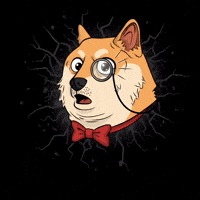 Shiba Inu Lol GIF by Doge Pound