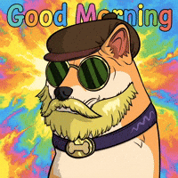 Greeting Good Morning GIF by Doge Pound
