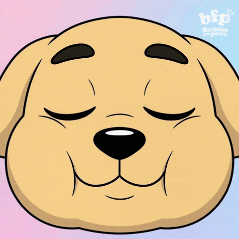 Drifting Close-Up GIF by Buddies for Paws