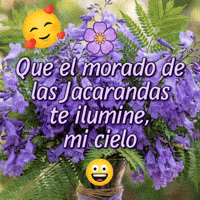 Nu Cuenta GIF by Nubank