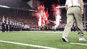 Ohio State Sport GIF by Ohio State Athletics
