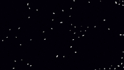 digital art animation GIF by Philippe Roy