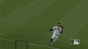 Atlanta Braves Baseball GIF by MLB