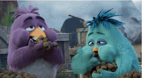 nuts eating GIF by Angry Birds