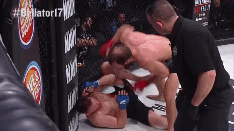 GIF by Bellator