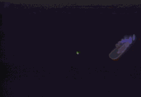 video art GIF by J. Robinson