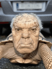 Giant Tortoise Ai GIF
