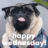 Happy Wednesday!